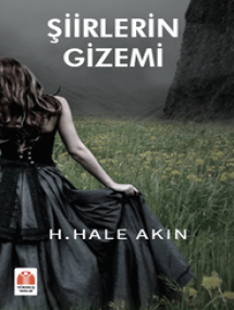 ŞİİRLERİN GİZEMİ